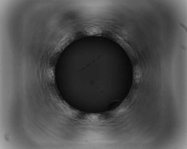 X0000103130523200808221157