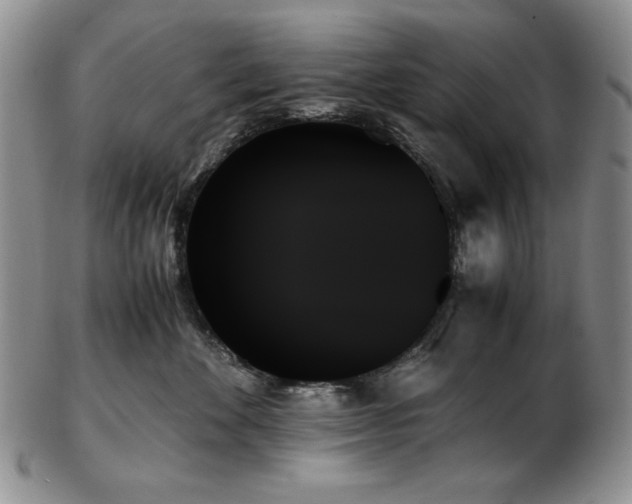 X0000103130524200808221157