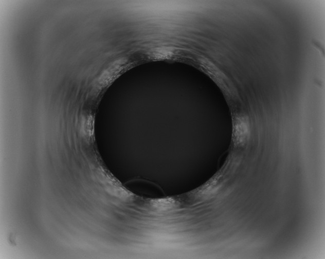 X0000103130525200808221157