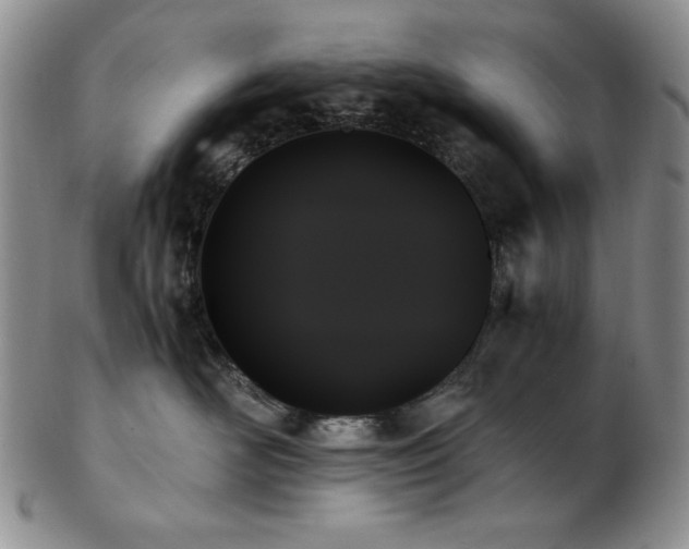X0000103130526200808221156