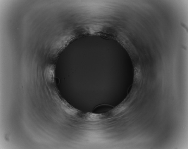 X0000103130527200808221156