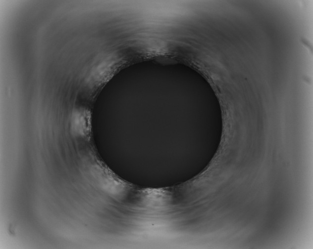 X0000103130528200808221156
