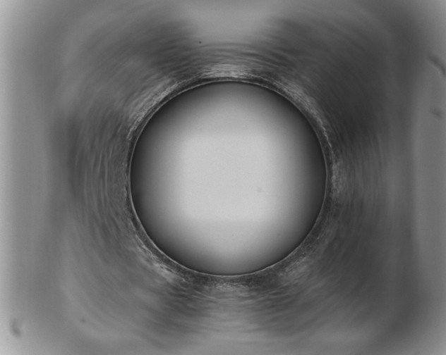 X0000103130529200808221156