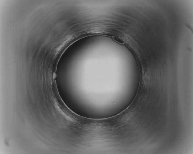 X0000103130530200808221156
