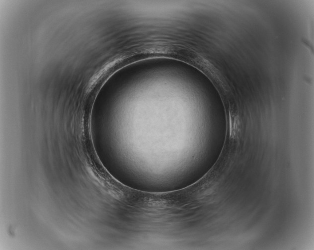 X0000103130531200808221156