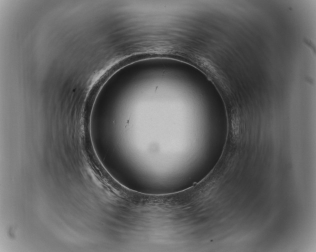 X0000103130532200808221156