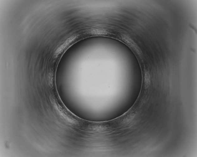 X0000103130533200808221156