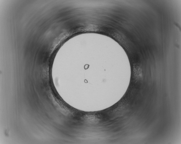 X0000103130534200808221156