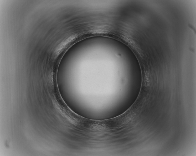 X0000103130535200808221156