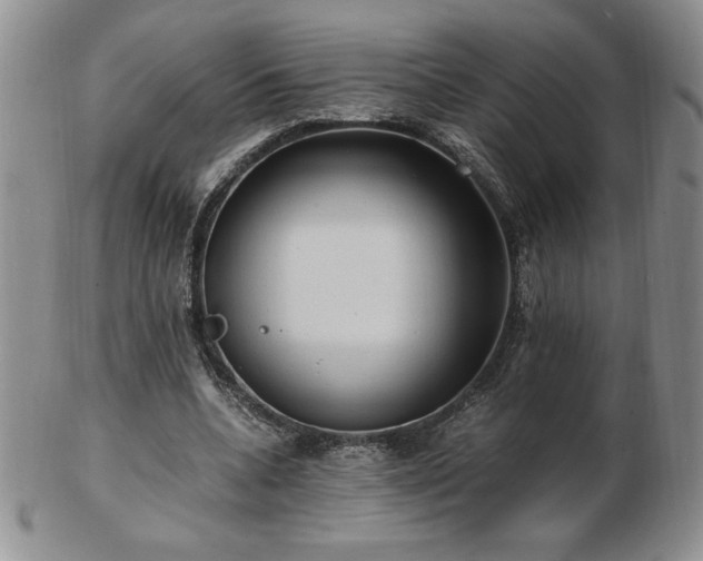 X0000103130536200808221156