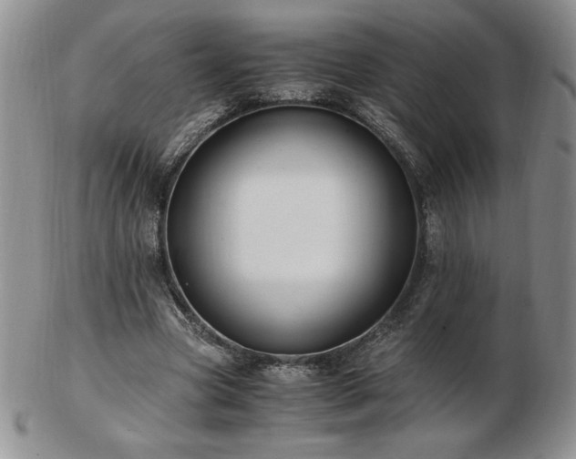 X0000103130537200808221156