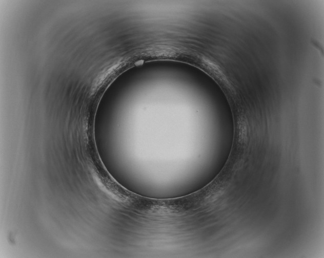 X0000103130538200808221156