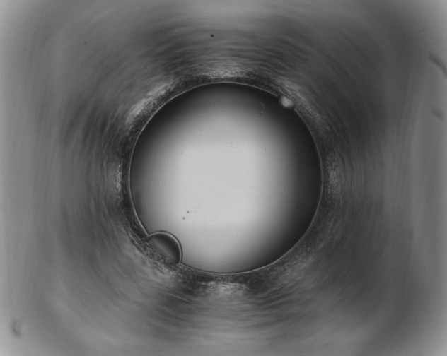 X0000103130539200808221156