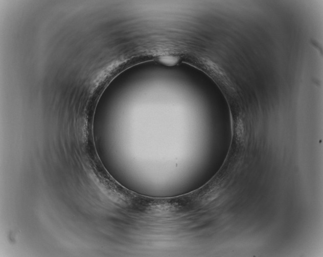 X0000103130540200808221156