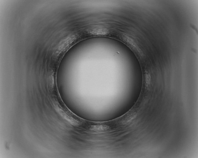 X0000103130541200808221156