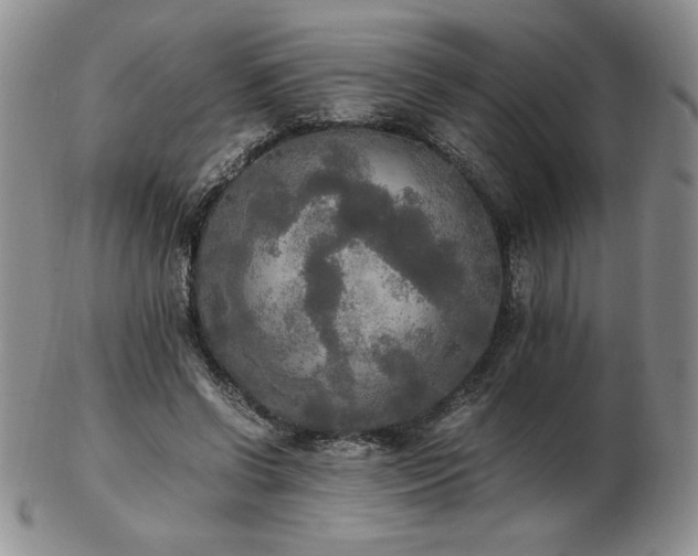 X0000103130542200808221156