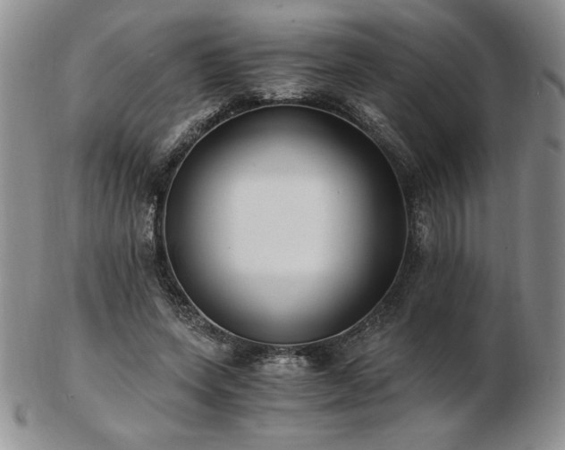 X0000103130543200808221156