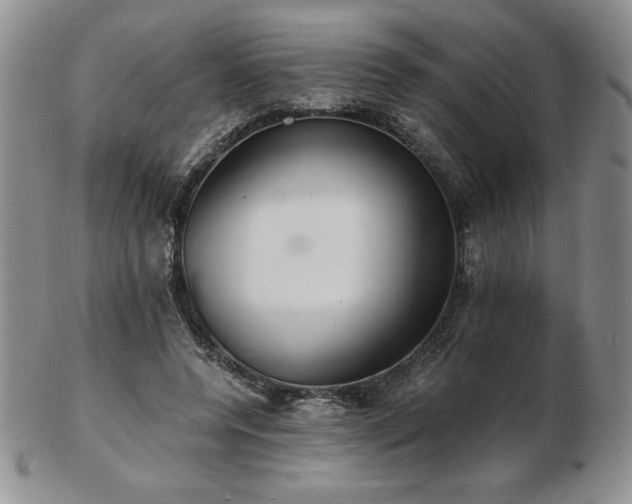 X0000103130544200808221156