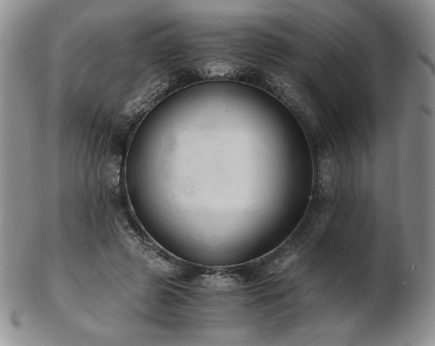 X0000103130545200808221156
