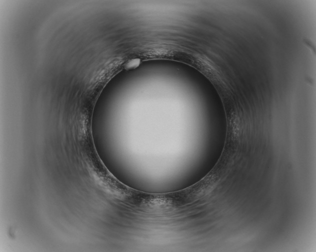 X0000103130546200808221156