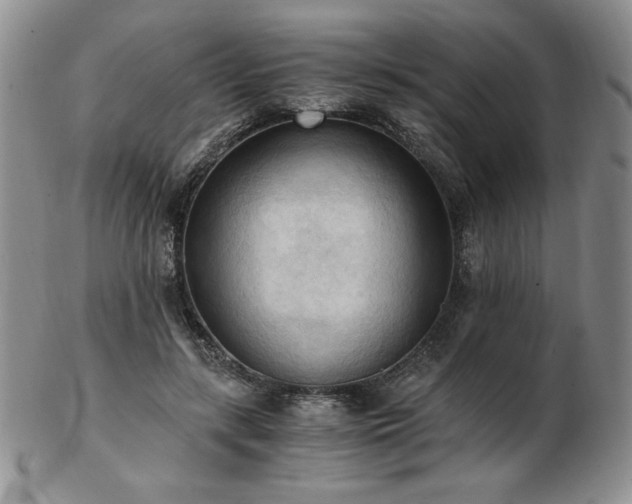 X0000103130547200808221156
