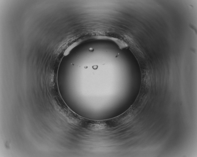 X0000103130548200808221156