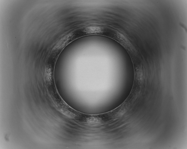 X0000103130549200808221156