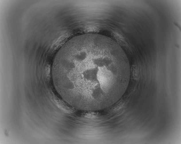 X0000103130550200808221156