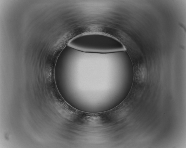 X0000103130552200808221156