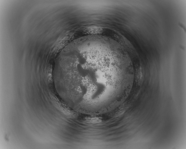 X0000103130553200808221156