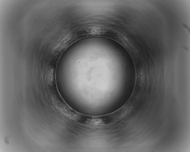 X0000103130554200808221156