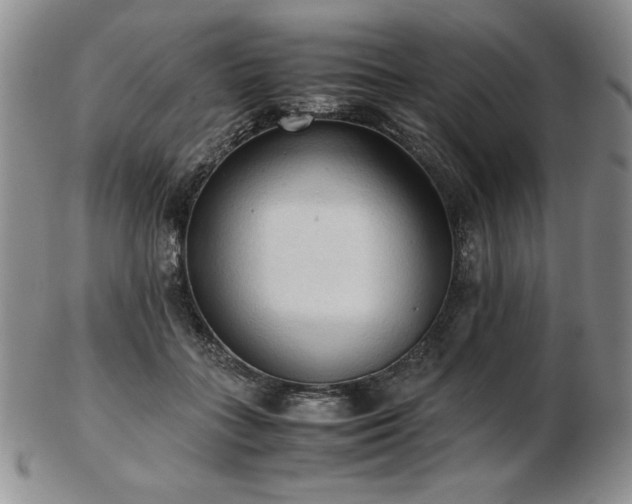 X0000103130555200808221156