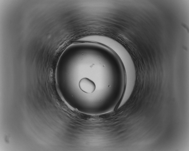 X0000103130556200808221156