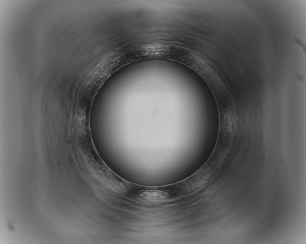 X0000103130557200808221156