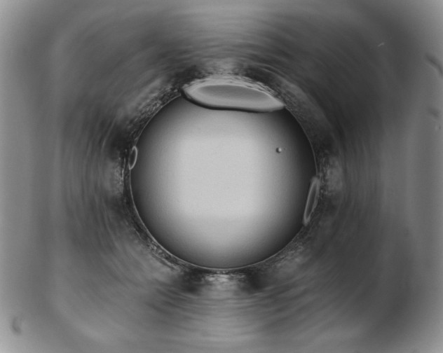 X0000103130558200808221156