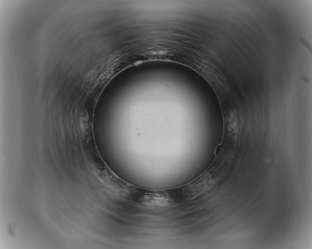 X0000103130559200808221156