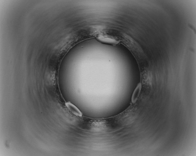 X0000103130560200808221156