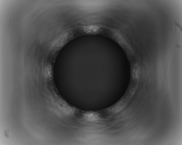 X0000103130561200808221156