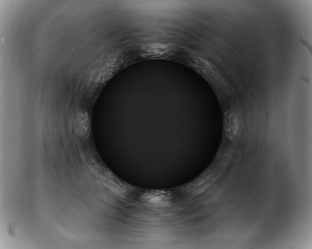 X0000103130563200808221156