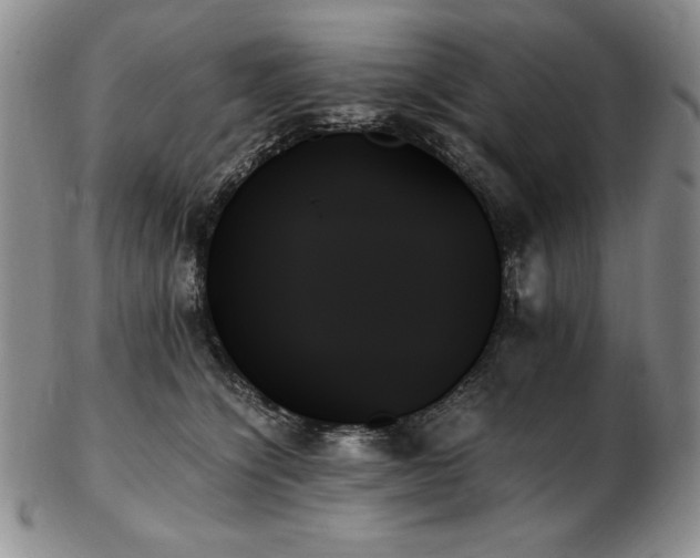 X0000103130564200808221156