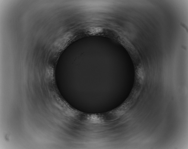 X0000103130565200808221156