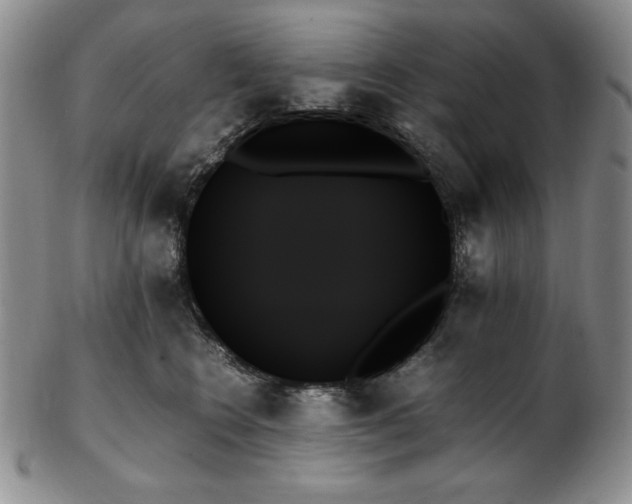 X0000103130566200808221156