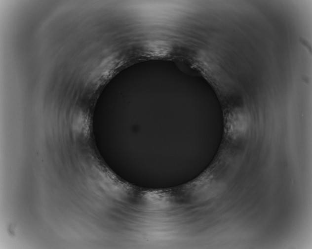 X0000103130568200808221156