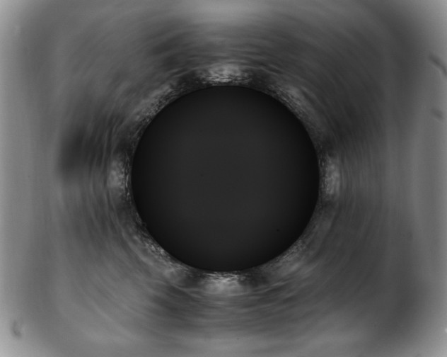 X0000103130569200808221156