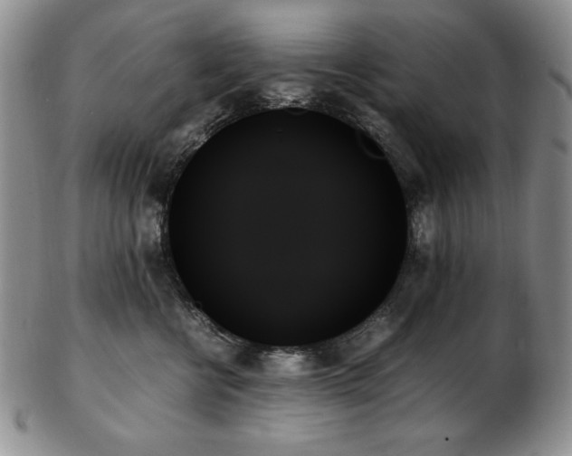 X0000103130570200808221156