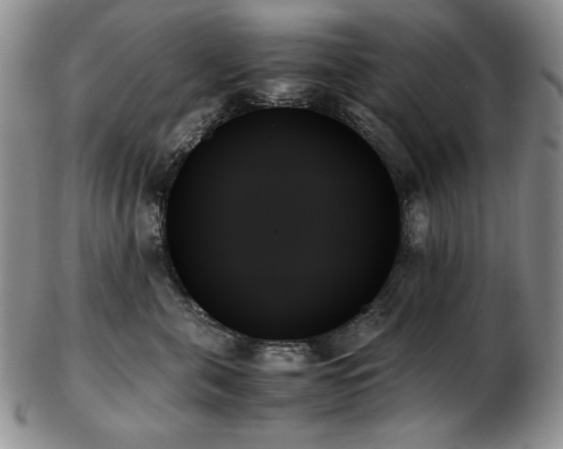 X0000103130571200808221156