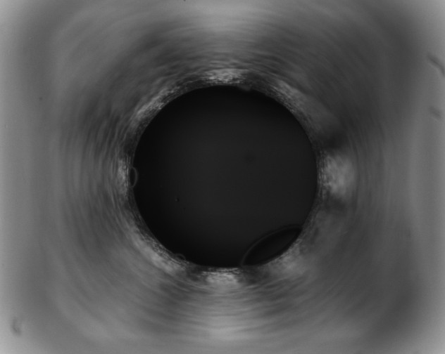 X0000103130572200808221156