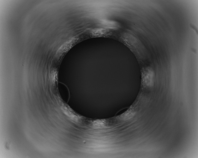 X0000103130574200808221156