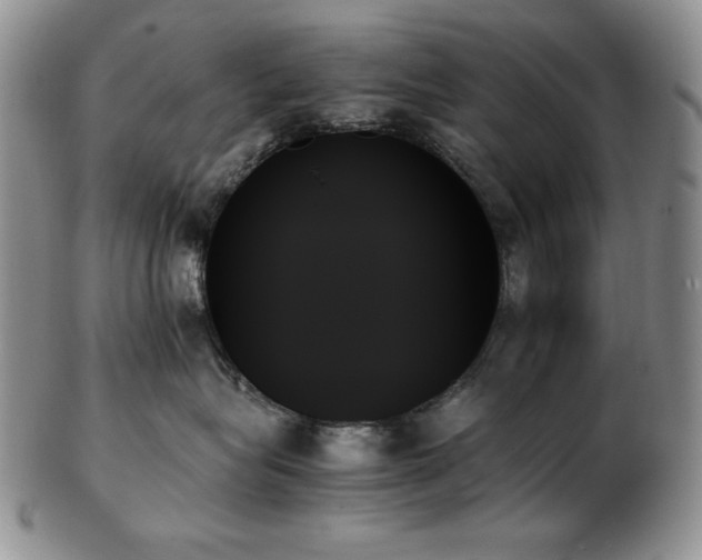 X0000103130575200808221156