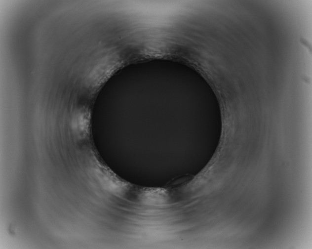 X0000103130576200808221156